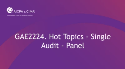 Hot Topics - Single Audit-Panel icon