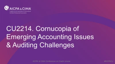 Cornucopia of Emerging Accounting Issues & Auditing Challenges icon