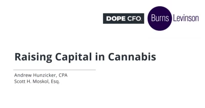 Raising Capital in Cannabis icon