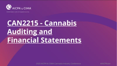 Cannabis Auditing and Financial Statements icon