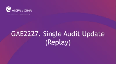 Single Audit Update (Replay) icon