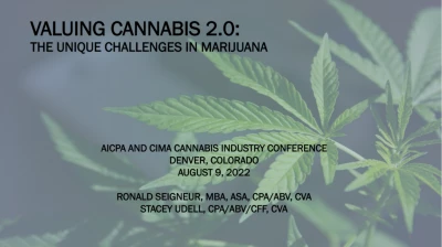 Forensics, Litigation, Cash Flow, and Business Valuations in Cannabis icon