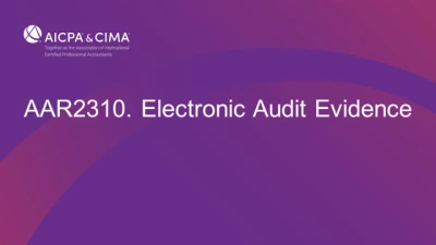 Electronic Audit Evidence icon