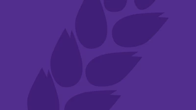 GI Nutrition Series for Clinicians 2025