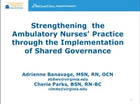 Special In-Brief Session: Ambulatory Practice Solidified Across a Large Health Care Organization That Is Making an Impact on Patient Care and the Advancement of Ambulatory Nursing Practice; Strengthening Ambulatory Nurses' Practice Through Implementa icon
