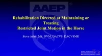 Rehabilitation Directed at Maintaining or Treating Restricted Joint Motion in the Horse icon