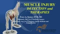 Muscle Injury Detection and Therapies icon