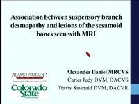 Association Between Suspensory Ligament Branch Desmopathy and Sesamoid Bone Pathology Seen with MRI icon