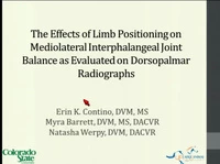 Effects of Limb Positioning on Mediolateral Interphalangeal Joint Balance as Evaluated on Dorsopalmar Radiographs icon