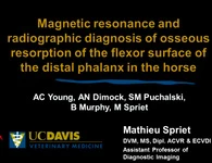 Magnetic Resonance and Radiographic Diagnosis of Osseous Resorption of the Flexor Surface of the Distal Phalanx in the Horse icon
