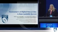 Assessment of Digital Venograms in Non-Laminitic Horses icon