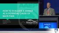 How to Evaluate a Saddle as a Potential Cause of Back Pain icon