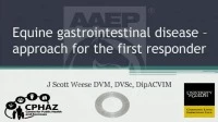 Equine Infectious Gastrointestinal Disease - Approach for the First Responder icon