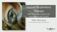 Equine Respiratory Disease, Differentials and Options for Investigation and Control icon