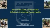 Reportable Equine Diseases in Your State icon
