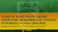 Clinical Features of Hemorrhagic Cystitis in Horses: Nine Cases (2004-2015) icon