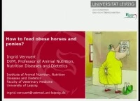 How to Consider Feeding Management in Obese Horses and Ponies icon