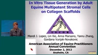 In Vitro Tissue Generation by Adult Equine Multipotent Stromal Cells on Collagen Scaffolds icon