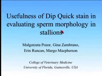 Usefulness of Dip Quick Stain in Evaluating Sperm Morphology in Stallions icon