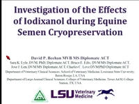 Investigation of the Effects of Iodixanol During Equine Semen Cryopreservation icon
