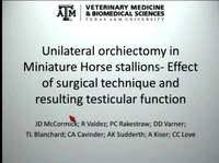 Unilateral Orchiectomy in Miniature Horse Stallions - Effect of Surgical Technique and Resulting Testicular Function icon