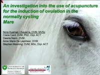 Investigation Into the Use of Acupuncture for Ovulation Induction in the Normally Cycling Mare icon