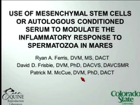 Use of Mesenchymal Stem Cells or Autologous Conditioned Serum to Modulate the Post-Mating Inflammatory Response in Mares icon
