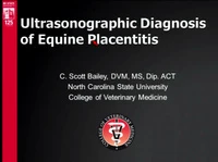 B-mode and Doppler Ultrasonography in Pony Mares with Experimentally Induced Ascending Placentitis icon
