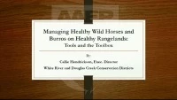 Managing Healthy Wild Horses and Burros on Health Rangelands: Tools and the Toolbox icon