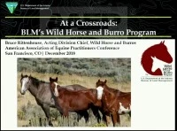 An Overview of the Wild Horse and Burro Program and Its Challenges icon