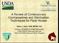 A Review of Contemporary Contraceptives and Sterilization Techniques for Feral Horses icon
