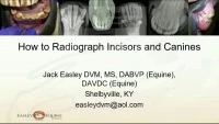How to Radiograph Incisors and Canines icon