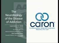 Neurobiology of the Disease of Addiction icon