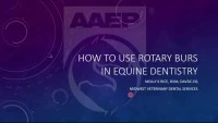 How to Use Rotary Burs in Equine Dentistry icon