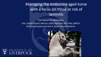 Managing the Endocrine Aged Horse with a Focus on Those at Risk of Laminitis icon
