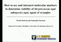 How to Use and Interpret Molecular Markers to Determine Viability of Streptococcus equi subspecies equi, Agent of Strangles icon
