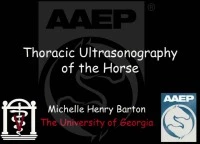 How to Use Transthoracic Ultrasonography to Identify Pulmonary Disease icon
