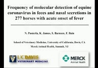 Frequency of Molecular Detection of Equine Coronavirus in Feces and Nasal Secretions in 277 Horses with Acute Onset of Fever icon