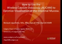 How to Use the Wireless Capsule Endoscopy (ALICAM) to Optimize Visualization of the Intestinal Mucosa icon