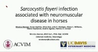 Sarcocystis fayeri Infection Associated with Neuromuscular Disease in Horses icon