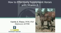 How to Effectively Supplement Horses with Vitamin E  icon