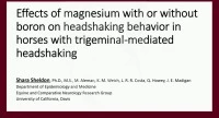 Effects of Magnesium with or without Boron on Headshaking Behavior in Horses with Trigeminal-Mediated Headshaking icon