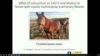 Effect of Valacyclovir on EHV-5 Viral Kinetics in Horses Diagnosed with Equine Multinodular Pulmonary Fibrosis icon