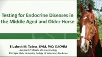 Testing for Endocrine Diseases in the Middle Aged and Older Horse icon