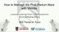 How to Manage the Post-Partum Mare with Metritis: Lessons Learned from a Retrospective Bacteriological Study icon
