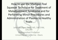 How to Use the Madigan Foal Squeeze Technique in Treatment of Maladjusted Syndrome and for Performing Minor Procedures and Administration of Plasma in Healthy Neonatal Foals icon