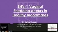 EHV-1 Vaginal Shedding Occurs in Healthy Broodmares icon