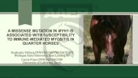 A Missense Mutation in MYH1 is Associated with Susceptibility to Immune-Mediated Myositis in Quarter Horses icon