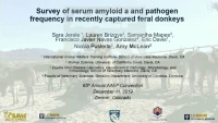Survey of Serum Amyloid A and Pathogen Frequency in Recently Captured Feral Donkeys icon