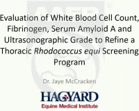 Evaluation of White Blood Cell, Fibrinogen, Serum Amyloid A and Ultrasonographic Grade to Refine a R. equi Screening Program icon